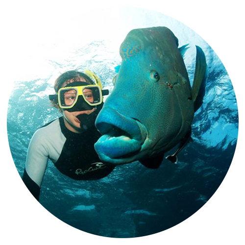 fish a person wearing a costume