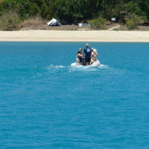 a group of people swimming in a body of water