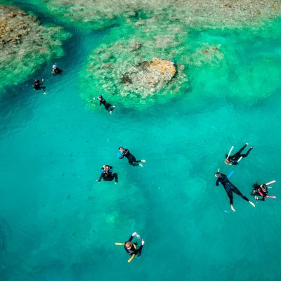a group of people swimming in the water