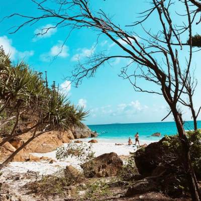 a tree in front of a body of water