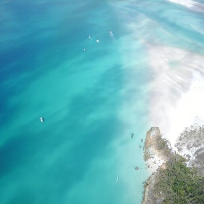 a fish swimming under water