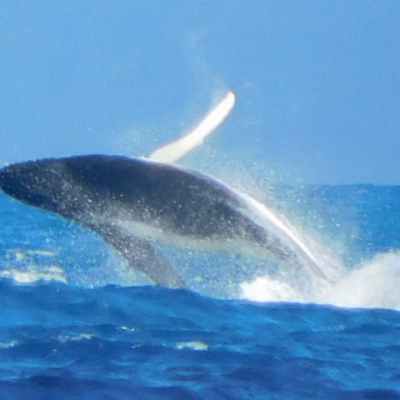 a man riding a wave on top of a body of water