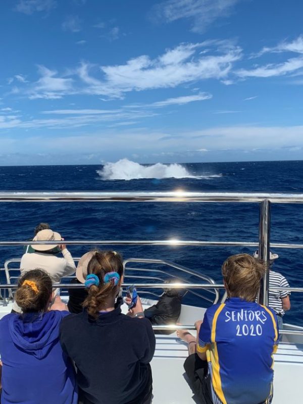 a group of people standing in the water