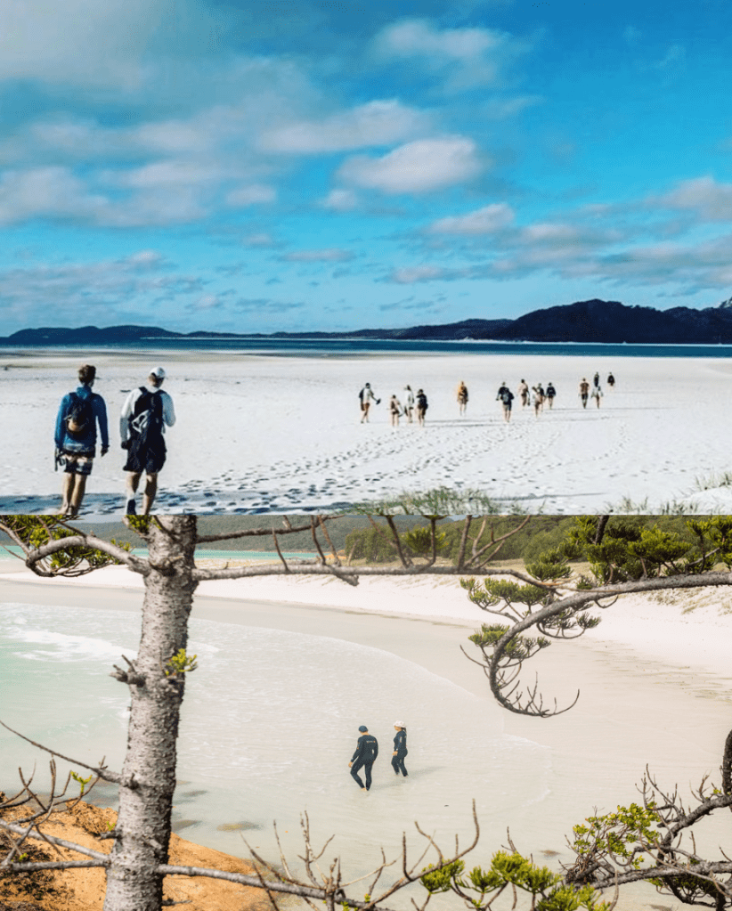 a group of people walking on a beach near a body of water