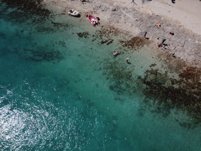 a group of people on a beach