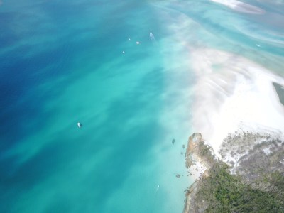 a fish swimming under water