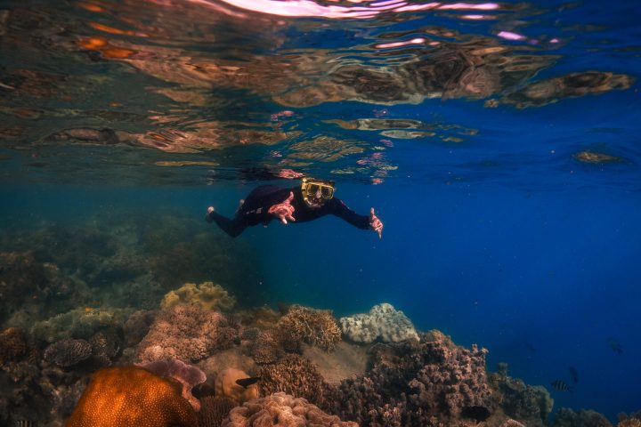 a person swimming in a body of water