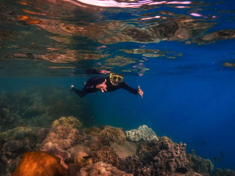 a person swimming in a body of water