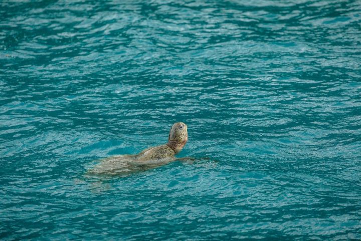 a large body of water